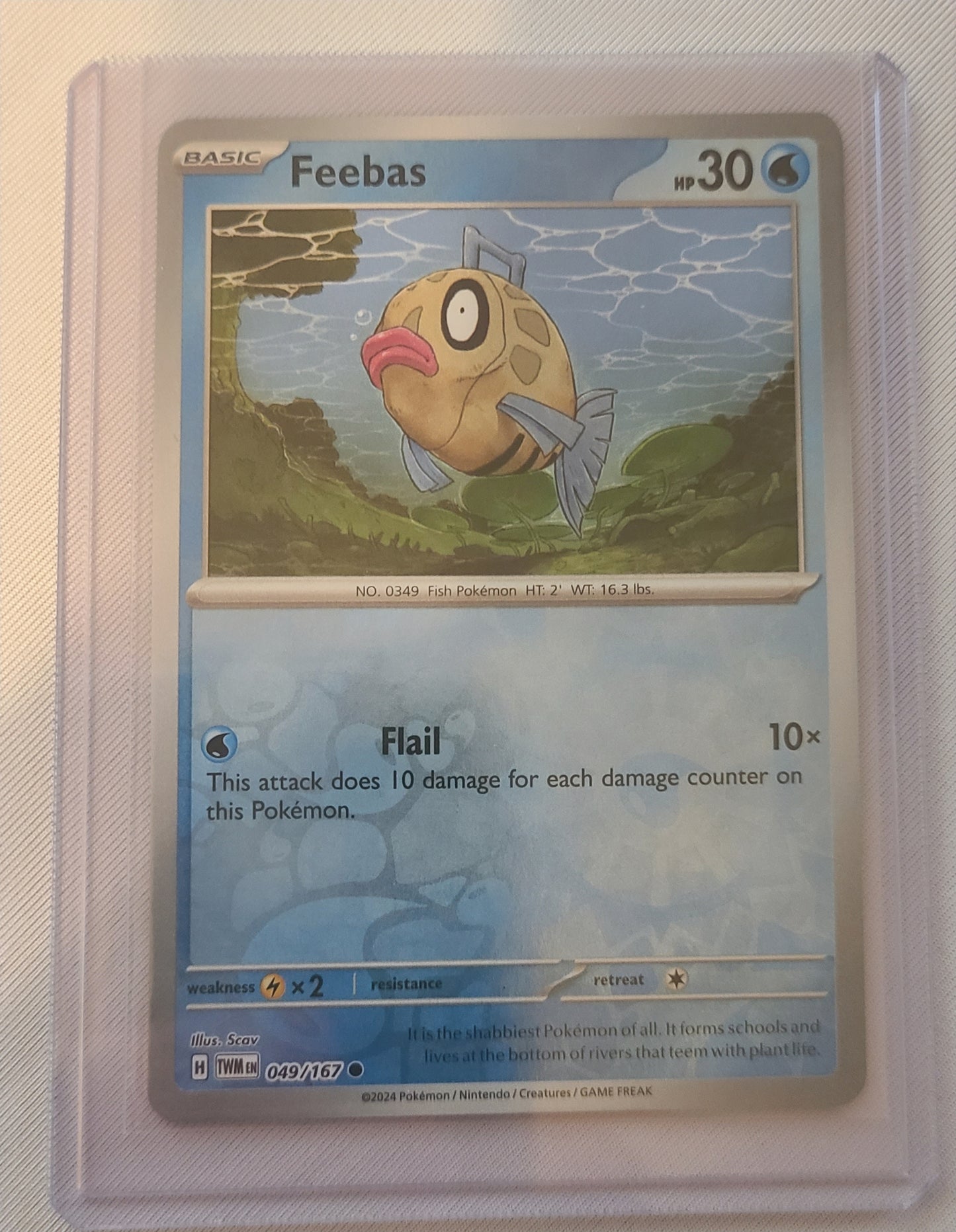 Feebas #49 Reverse Holo