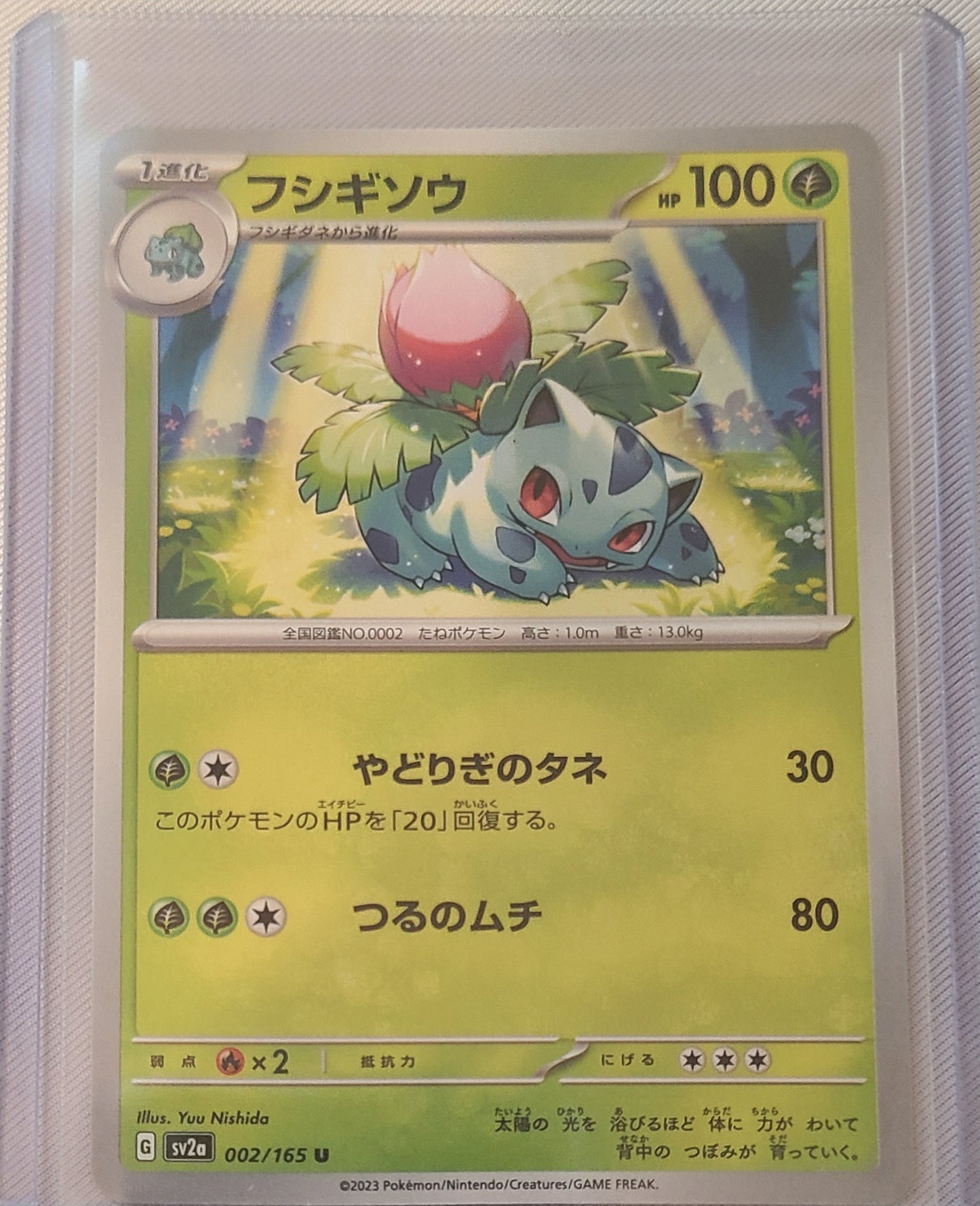 Ivysaur #2 - Japanese Scarlet & Violet 151