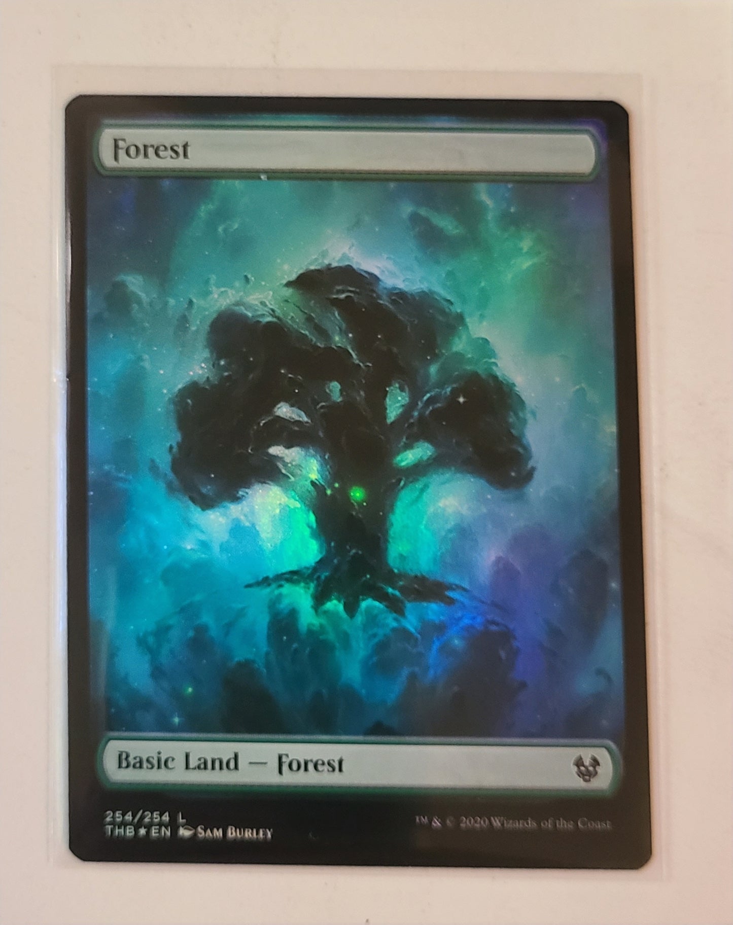 Forest #254 - Foil - Magic Theros Beyond Death