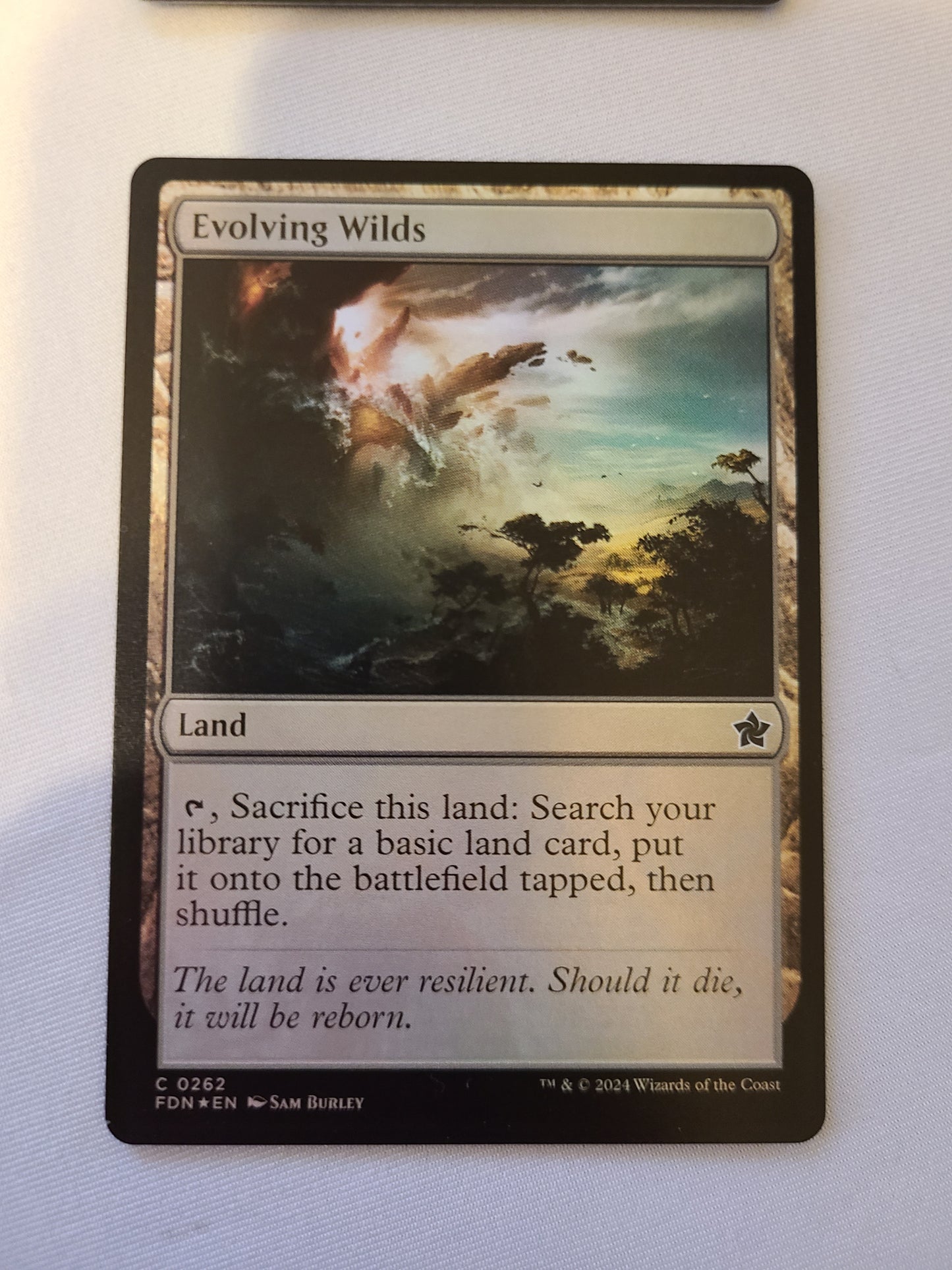 Evolving Wilds #262 Foil - MTG Foundations